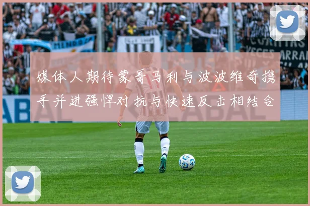 媒体人期待蒙哥马利与波波维奇携手并进强悍对抗与快速反击相结合